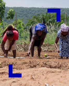 jahresbericht.das-hunger-projekt.de