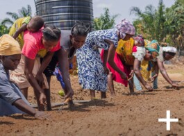 jahresbericht.das-hunger-projekt.de