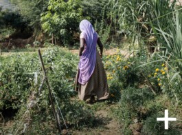 jahresbericht.das-hunger-projekt.de