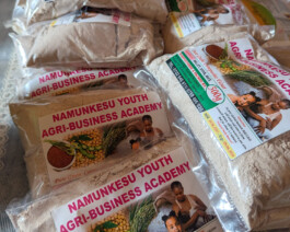 jahresbericht.das-hunger-projekt.de